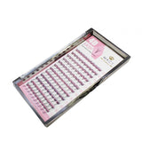 4D Lash Volume Tray with Multi-Curl, Multi-Length Options