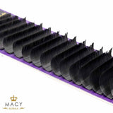 SILK LASH Eyelash Extensions